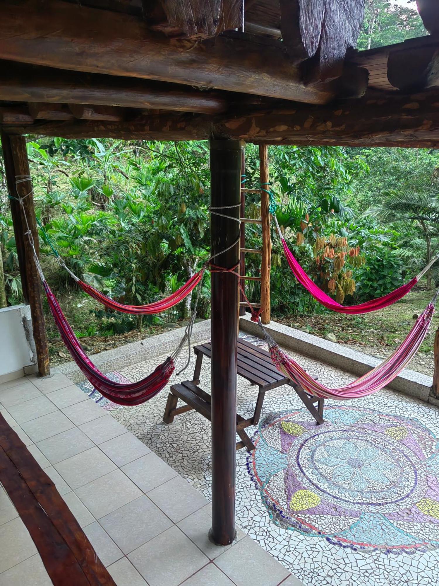 Wisdom Forest Lodge Tena Eksteriør bilde